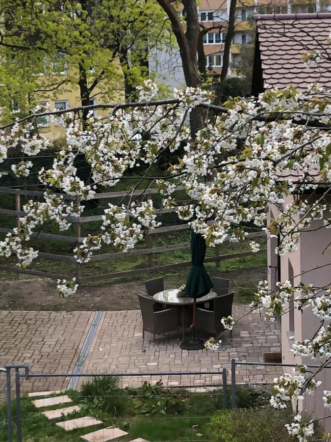 Forsthaus Zu Lichtenhof Nuremberg Bagian luar foto